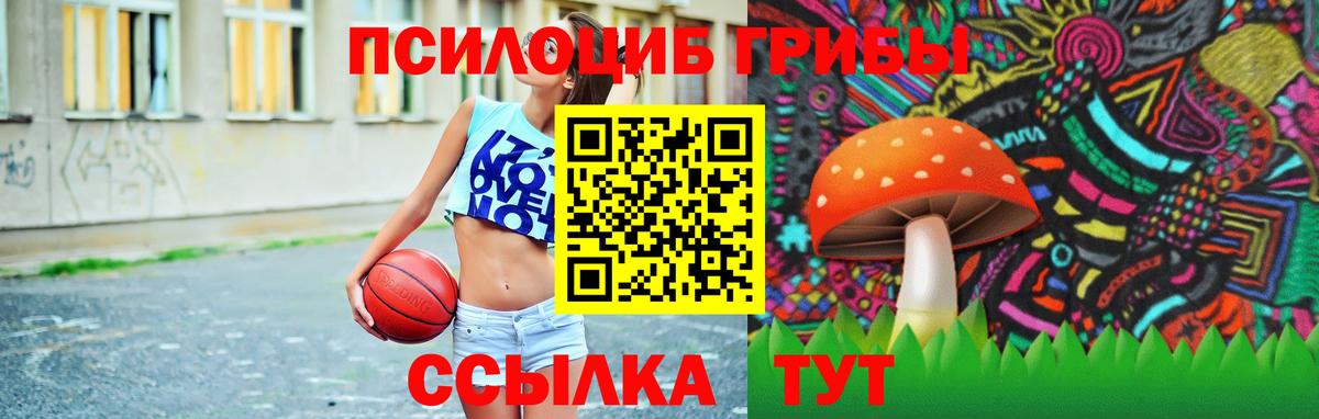 Псилоцибиновые грибы Magic Shrooms  Вход с VPN  Кубинка 